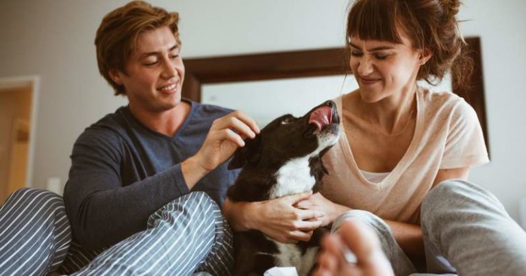 Couple petting their dog